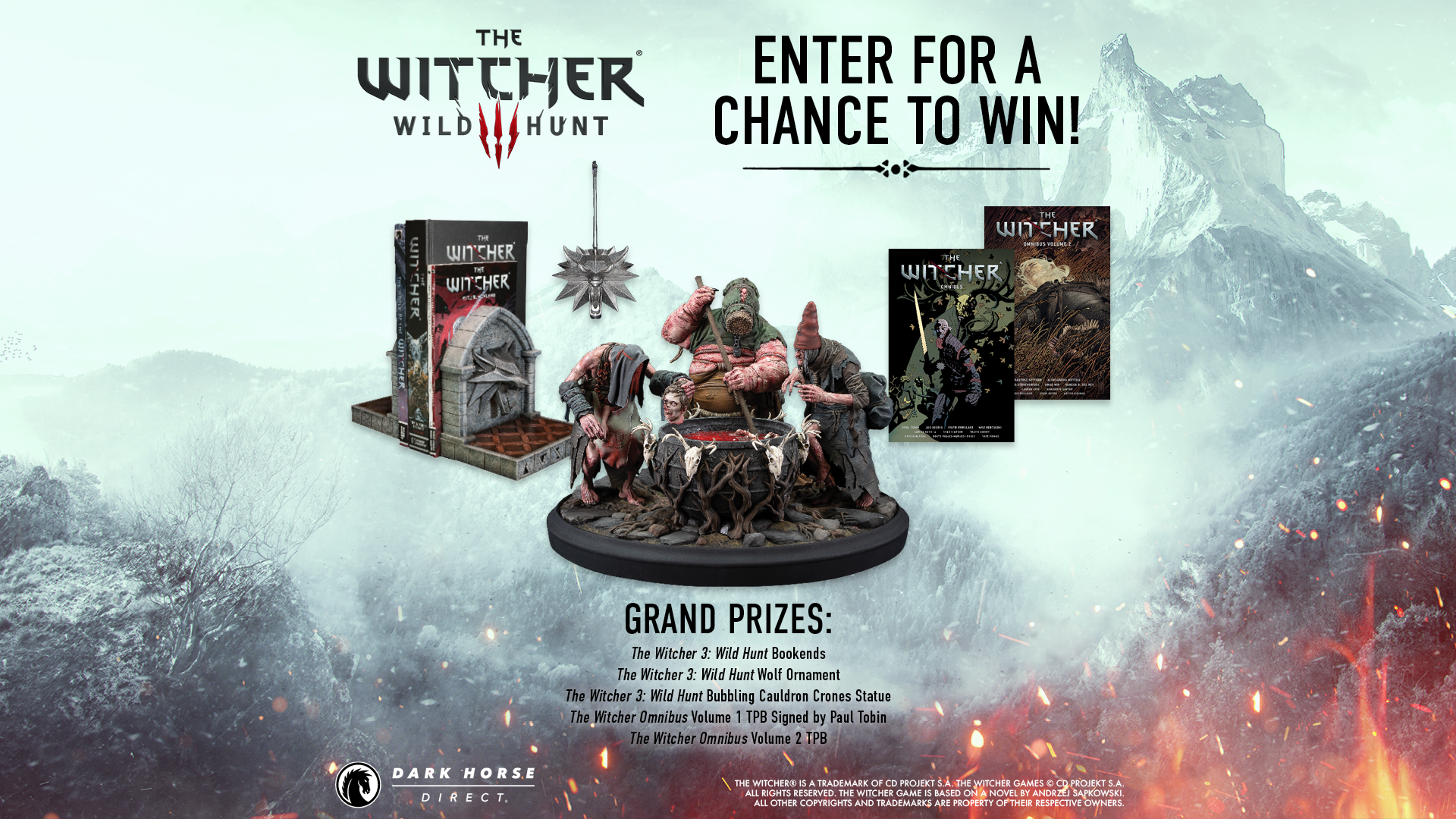 The Witcher トランプ 限定版 #1665 The Witcher 3 - Wild Hunt 10-Year Anniversary Sweepstakes – Dark