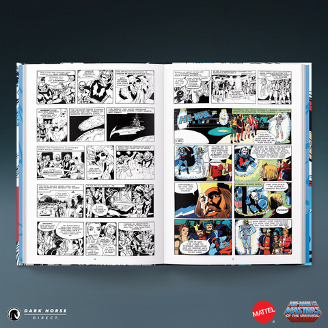 He-Man and the Masters of the Universe: The Newspaper Comic Strips HC