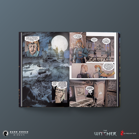 Andrzej Sapkowski's The Witcher: A Question of Price HC