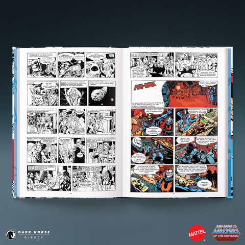 He-Man and the Masters of the Universe: The Newspaper Comic Strips HC