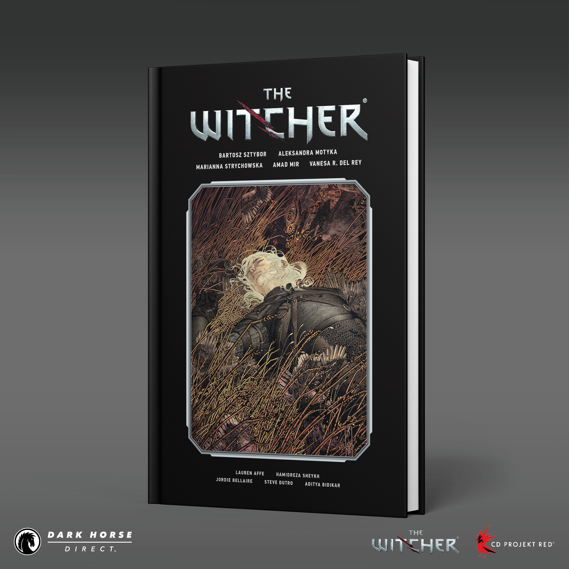 The Witcher Library Edition Hardcover Volumes – Dark Horse Direct