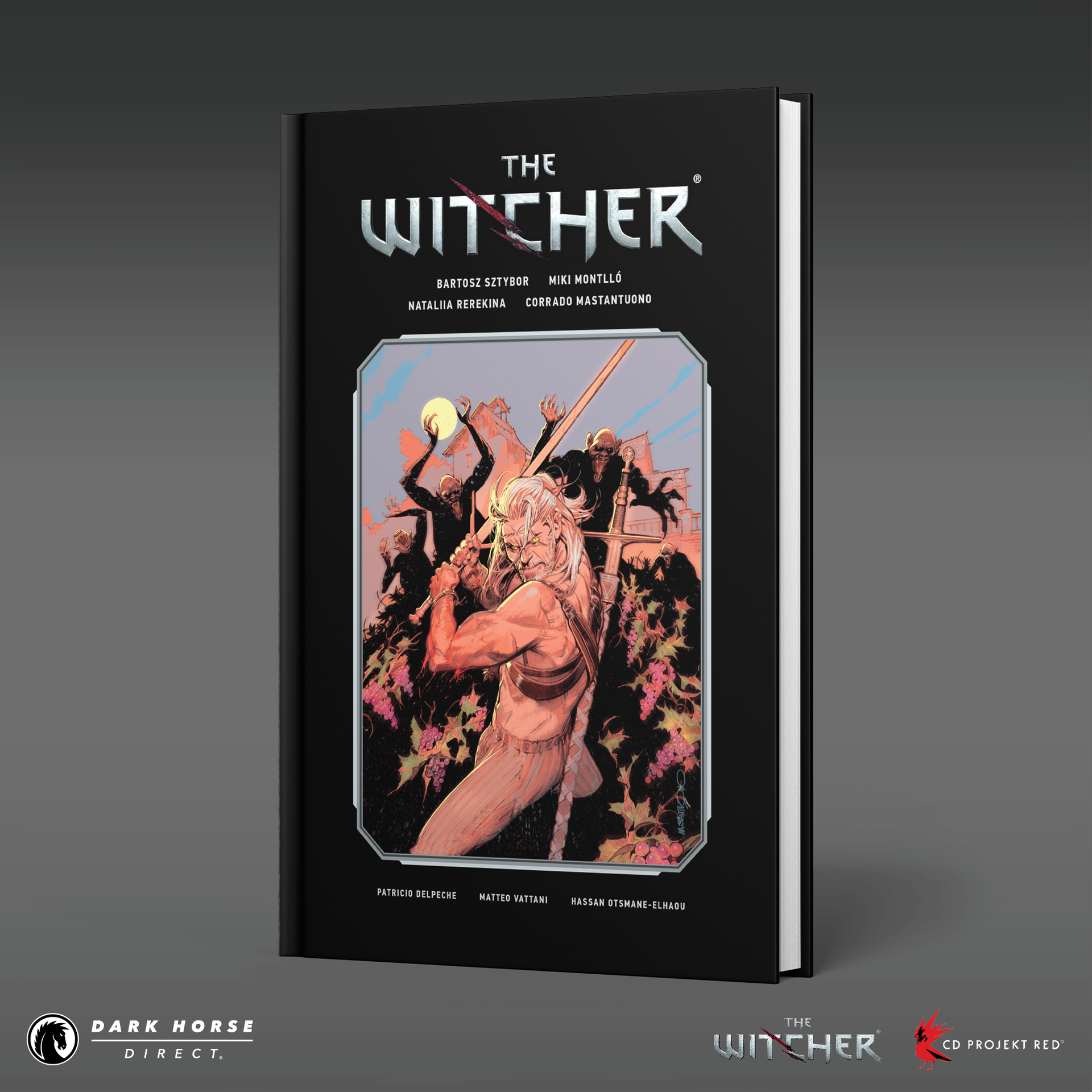 The Witcher Library Edition Hardcover Volumes – Dark Horse Direct