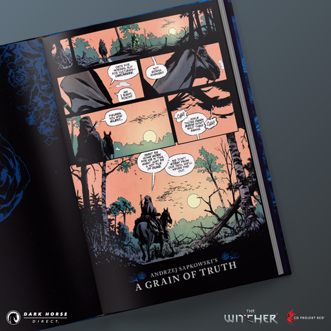 Andrzej Sapkowski's The Witcher: A Grain of Truth HC