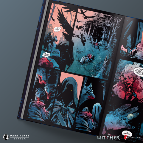 Andrzej Sapkowski's The Witcher: A Grain of Truth HC